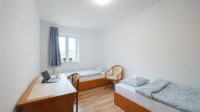 Room for rent in Ostrava-město, Moravskoslezský kraj