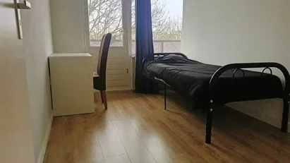 Room for rent in Rotterdam Prins Alexander, Rotterdam