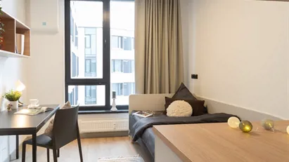 Apartment for rent in Riga Salas-Torņakalns, Riga