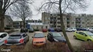 Apartment for rent, Haarlem, North Holland, Johan Limpersplantsoen, The Netherlands