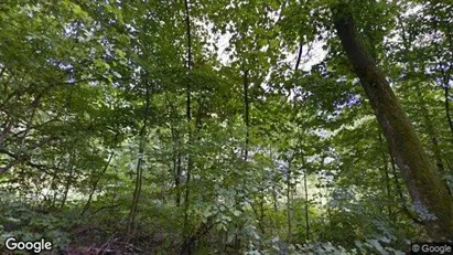 Apartments for rent in Aarau - Photo from Google Street View