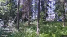 Apartment for rent, Helsinki Läntinen, Helsinki, &lt;span class=&quot;blurred street&quot; onclick=&quot;ProcessAdRequest(12926435)&quot;&gt;&lt;span class=&quot;hint&quot;&gt;See streetname&lt;/span&gt;[xxxxxxxxxxxxx]&lt;/span&gt;