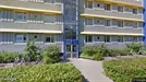 Apartment for rent, Ringsted, Region Zealand, &lt;span class=&quot;blurred street&quot; onclick=&quot;ProcessAdRequest(13238609)&quot;&gt;&lt;span class=&quot;hint&quot;&gt;See streetname&lt;/span&gt;[xxxxxxxxxxxxx]&lt;/span&gt;