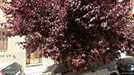Apartment for rent, Patras, Western Greece, &lt;span class=&quot;blurred street&quot; onclick=&quot;ProcessAdRequest(13374094)&quot;&gt;&lt;span class=&quot;hint&quot;&gt;See streetname&lt;/span&gt;[xxxxxxxxxxxxx]&lt;/span&gt;
