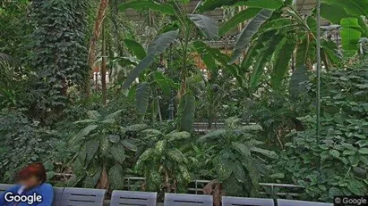 Apartments for rent in Location is not specified - Photo from Google Street View