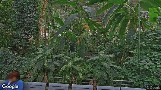 Apartments for rent in Location is not specified - Photo from Google Street View