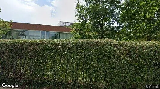 Apartments for rent in Alba - Photo from Google Street View