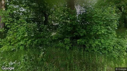 Apartments for rent in Steinburg - Photo from Google Street View