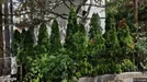 Apartment for rent, Budapest II. kerület, Budapest, &lt;span class=&quot;blurred street&quot; onclick=&quot;ProcessAdRequest(13944595)&quot;&gt;&lt;span class=&quot;hint&quot;&gt;See streetname&lt;/span&gt;[xxxxxxxxxxxxx]&lt;/span&gt;