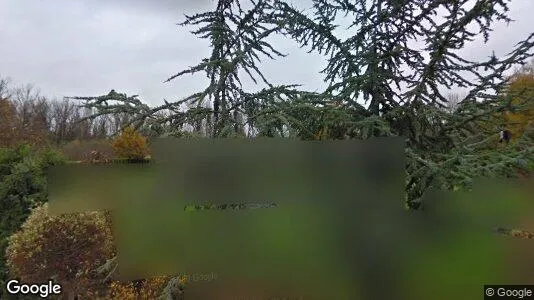 Apartments for rent in Puurs-Sint-Amands - Photo from Google Street View