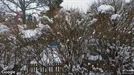 Apartment for rent, Sigtuna, Stockholm County, &lt;span class=&quot;blurred street&quot; onclick=&quot;ProcessAdRequest(13997834)&quot;&gt;&lt;span class=&quot;hint&quot;&gt;See streetname&lt;/span&gt;[xxxxxxxxxxxxx]&lt;/span&gt;