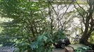 Apartment for rent, Solna, Stockholm County, &lt;span class=&quot;blurred street&quot; onclick=&quot;ProcessAdRequest(14021649)&quot;&gt;&lt;span class=&quot;hint&quot;&gt;See streetname&lt;/span&gt;[xxxxxxxxxxxxx]&lt;/span&gt;