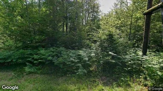 Apartments for rent in Geistthal-Södingberg - Photo from Google Street View