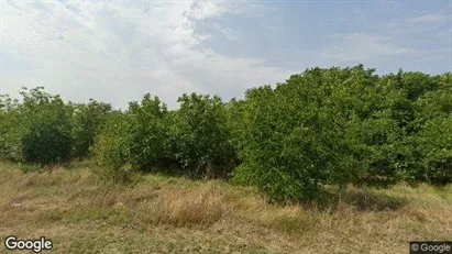 Apartments for rent in Chiajna - Photo from Google Street View
