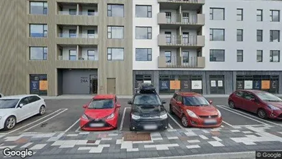 Apartments for rent in Reykjavík Hlíðar - Photo from Google Street View