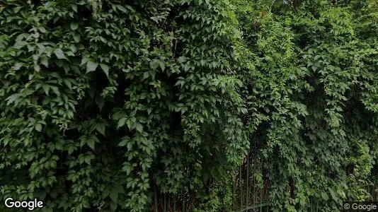 Apartments for rent in Voluntari - Photo from Google Street View