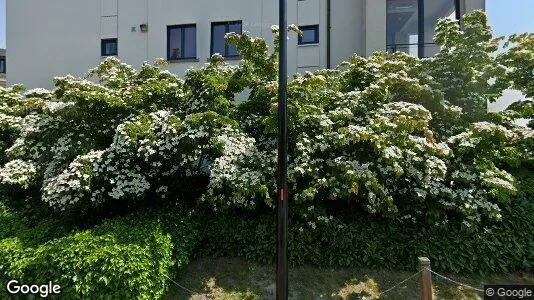 Apartments for rent in Oudenaarde - Photo from Google Street View