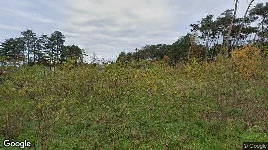 Apartments for rent in Scherpenheuvel-Zichem - Photo from Google Street View