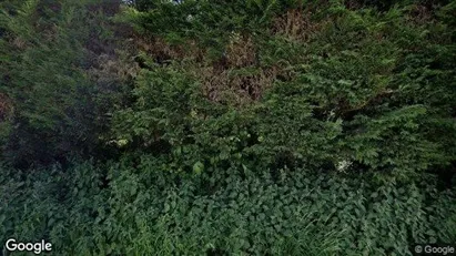 Apartments for rent in Tubeke - Photo from Google Street View