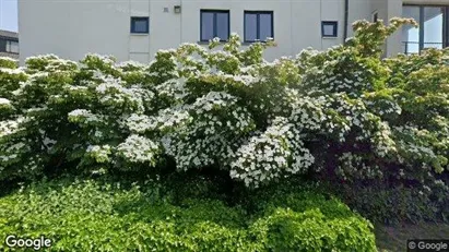Apartments for rent in Oudenaarde - Photo from Google Street View