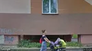 Apartment for rent, České Budějovice, Jihočeský kraj, Staroměstská