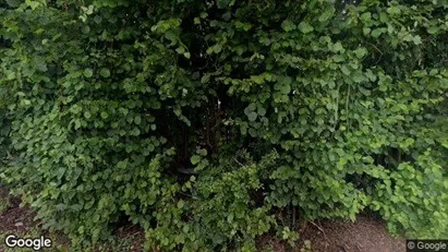 Apartments for rent in Bern-Mittelland - Photo from Google Street View