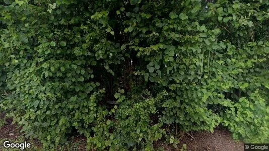 Apartments for rent in Bern-Mittelland - Photo from Google Street View