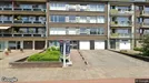 Apartment for rent, Antwerp Deurne, Antwerp, August Van de Wielelei
