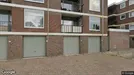 Apartment for rent, Arnhem, Gelderland, Molecatenstraat