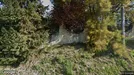 Apartment for rent, Cluj-Napoca, Nord-Vest, Strada Borhanciului