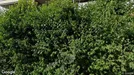 Apartment for rent, Zofingen, Aargau (Kantone), Parkweg