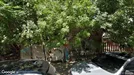 Apartment for rent, Varna (region), Улица „Професор Марин Дринов“