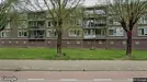 Apartment for rent, Arnhem, Gelderland, Van Nesstraat