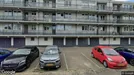 Apartment for rent, Arnhem, Gelderland, Van der Goesstraat