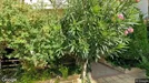 Apartment for rent, Patras, Western Greece, Αξιού
