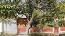 Apartment for rent, Nufăru, Sud-Est, DJ222C