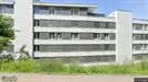 Apartment for rent, Sankt Gallen, Sankt Gallen (Kantone), Haselstrasse<span class="blurred street-number" onclick="ProcessAdRequest(16387086)"><span class="hint">See road-number</span>[xxxxxxxxxxxxxx]</span>