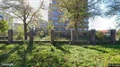 Apartment for rent, Den Bosch, North Brabant, Willemspoort<span class="blurred street-number" onclick="ProcessAdRequest(16473694)"><span class="hint">See road-number</span>[xxxxxxxxxxxxxx]</span>