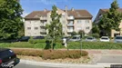 Apartment for rent, Harelbeke, West-Vlaanderen, Kortrijksesteenweg<span class="blurred street-number" onclick="ProcessAdRequest(16602159)"><span class="hint">See no.</span>[xxxxxx]</span>