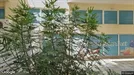 Apartment for rent, Patras, Western Greece, Γρηγορίου Ε<span class="blurred street-number" onclick="ProcessAdRequest(17023126)"><span class="hint">See no.</span>[xxxxxx]</span>