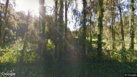 Apartments for rent in San Roque - Photo from Google Street View