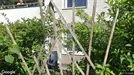 Apartment for rent, Södermalm, Stockholm, Åsögatan<span class="blurred street-number" onclick="ProcessAdRequest(17406453)"><span class="hint">See no.</span>[xxxxxx]</span><span class="hglt"> (only swap)</span>