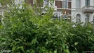 Room for rent, Nijmegen, Gelderland, St. Annastraat<span class="blurred street-number" onclick="ProcessAdRequest(17423849)"><span class="hint">See no.</span>[xxxxxx]</span>