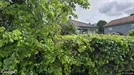 Room for rent, Oslo Alna, Oslo, Prost Hallings Vei<span class="blurred street-number" onclick="ProcessAdRequest(17430404)"><span class="hint">See no.</span>[xxxxxx]</span>