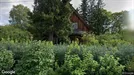 Room for rent, Oslo Vestre Aker, Oslo, Slyngveien<span class="blurred street-number" onclick="ProcessAdRequest(17551070)"><span class="hint">See no.</span>[xxxxxx]</span>