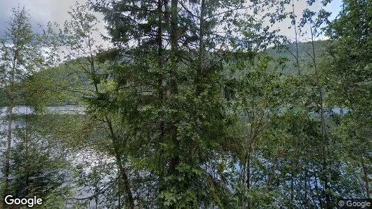 Apartments for rent in Kviteseid - Photo from Google Street View
