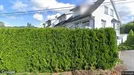 Room for rent, Oslo Vestre Aker, Oslo, Binneveien<span class="blurred street-number" onclick="ProcessAdRequest(17568378)"><span class="hint">See no.</span>[xxxxxx]</span>