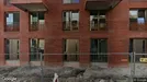Apartment for rent, Groningen, Groningen (region), Siemensstraat<span class="blurred street-number" onclick="ProcessAdRequest(17681437)"><span class="hint">See no.</span>[xxxxxx]</span>