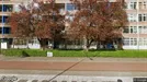 Apartment for rent, Groningen, Groningen (region), Plutolaan<span class="blurred street-number" onclick="ProcessAdRequest(17731836)"><span class="hint">See no.</span>[xxxxxx]</span>
