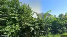 Room for rent, Bærum, Akershus, Lindebergveien<span class="blurred street-number" onclick="ProcessAdRequest(17897901)"><span class="hint">See no.</span>[xxxxxx]</span>